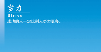 公司文化