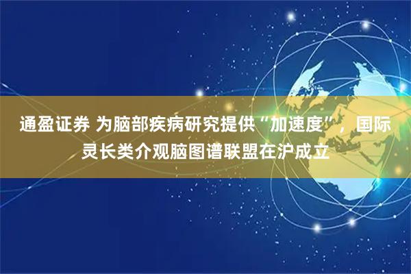 通盈证券 为脑部疾病研究提供“加速度”，国际灵长类介观脑图谱联盟在沪成立