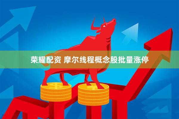 荣耀配资 摩尔线程概念股批量涨停
