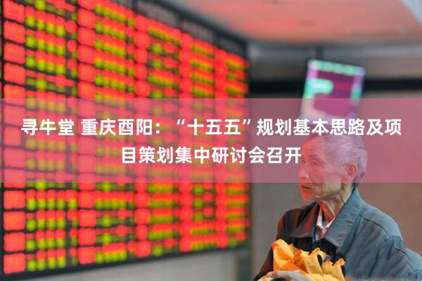 寻牛堂 重庆酉阳：“十五五”规划基本思路及项目策划集中研讨会召开