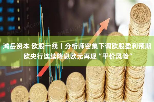 鸿岳资本 欧股一线丨分析师密集下调欧股盈利预期 欧央行连续降息欧元再现“平价风险”