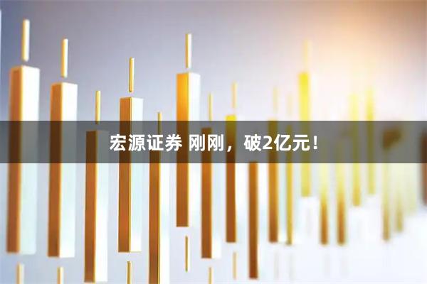 宏源证券 刚刚，破2亿元！