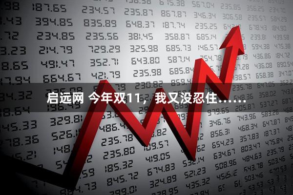 启远网 今年双11，我又没忍住……