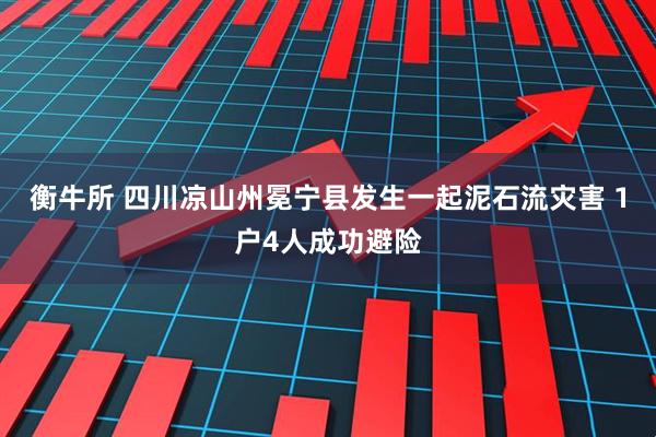 衡牛所 四川凉山州冕宁县发生一起泥石流灾害 1户4人成功避险