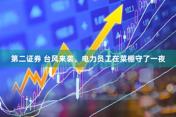 第二证券 台风来袭，电力员工在菜棚守了一夜