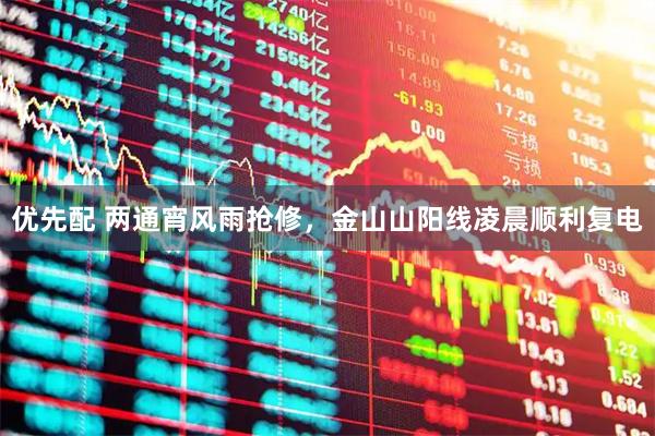 优先配 两通宵风雨抢修,金山山阳线凌晨顺利复电