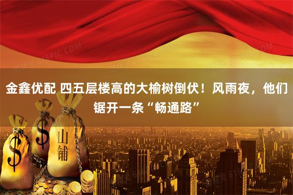 金鑫优配 四五层楼高的大榆树倒伏！风雨夜，他们锯开一条“畅通路”